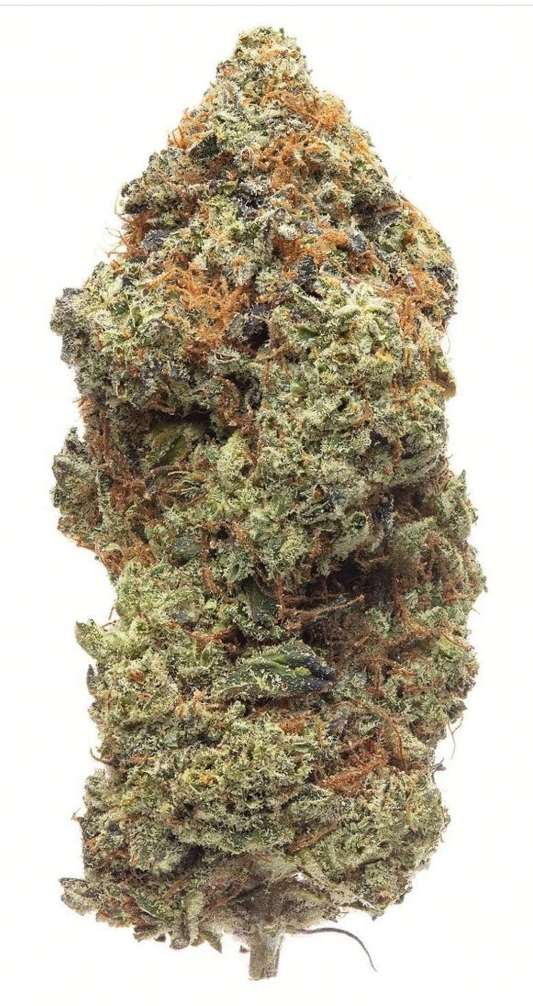 Strawberry Haze 3 gr.