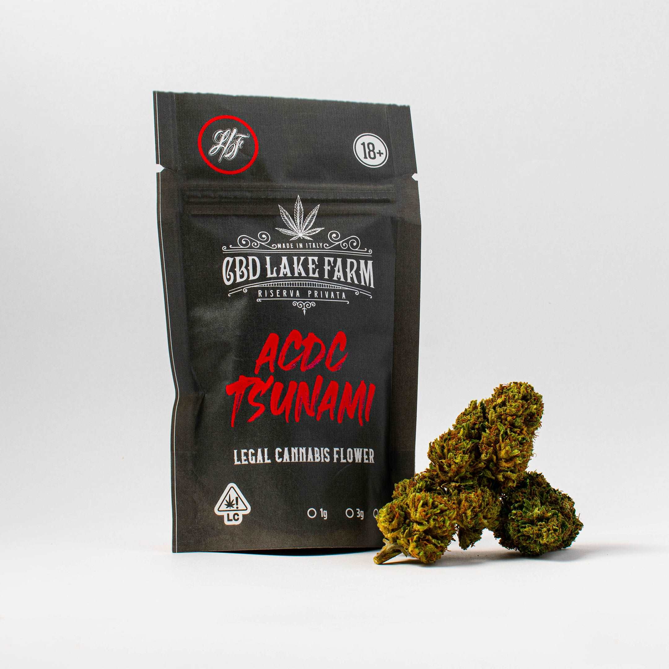 ACDC TSUNAMI
